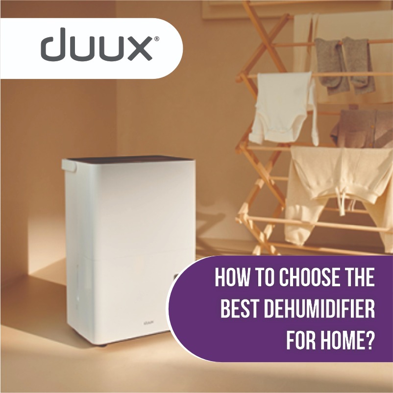 How to Choose the Best Dehumidifier for Home